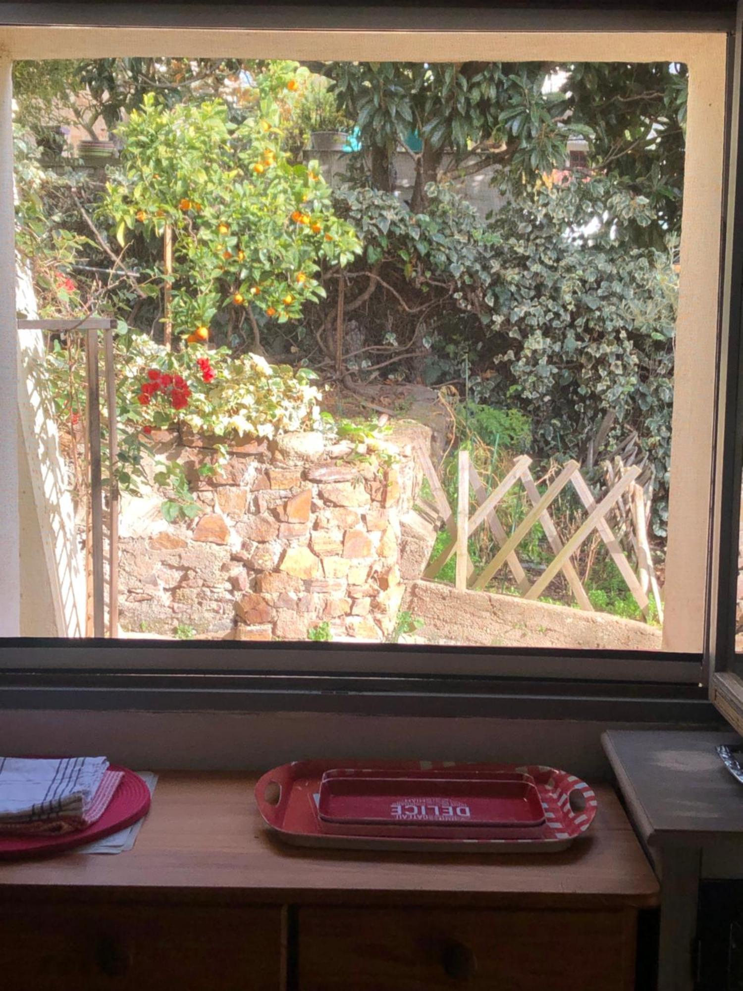 Apartment T2 En Rez-de-jardin Fleur De Sel Saint-Raphael (Var)